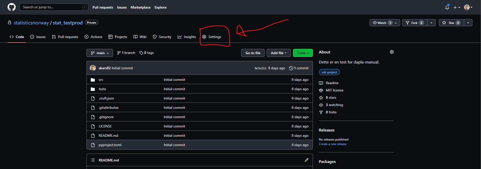 Bilde som viser hvor Settings til et spesifikt repo